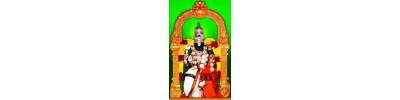 நங்கநல்லூர்